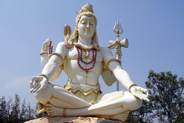 shiv image